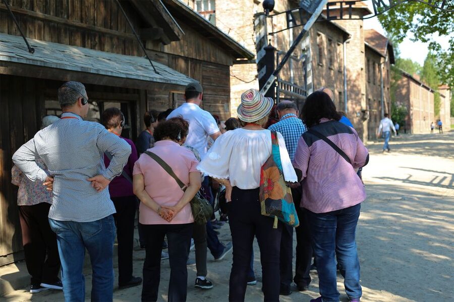 From Krakow: Auschwitz Birkenau Small Group Tour with Pickup - Who will get the most from this experience?