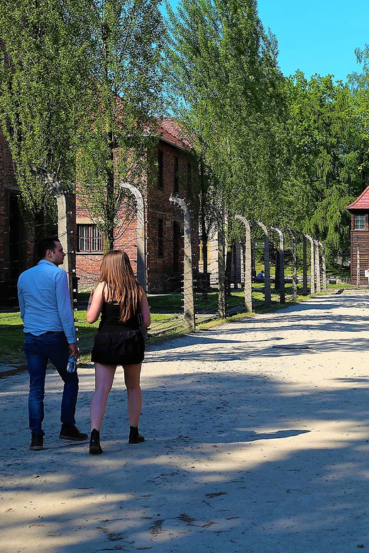 From Krakow: Auschwitz Birkenau Small Group Tour with Pickup - Why this tour matters in Krakow