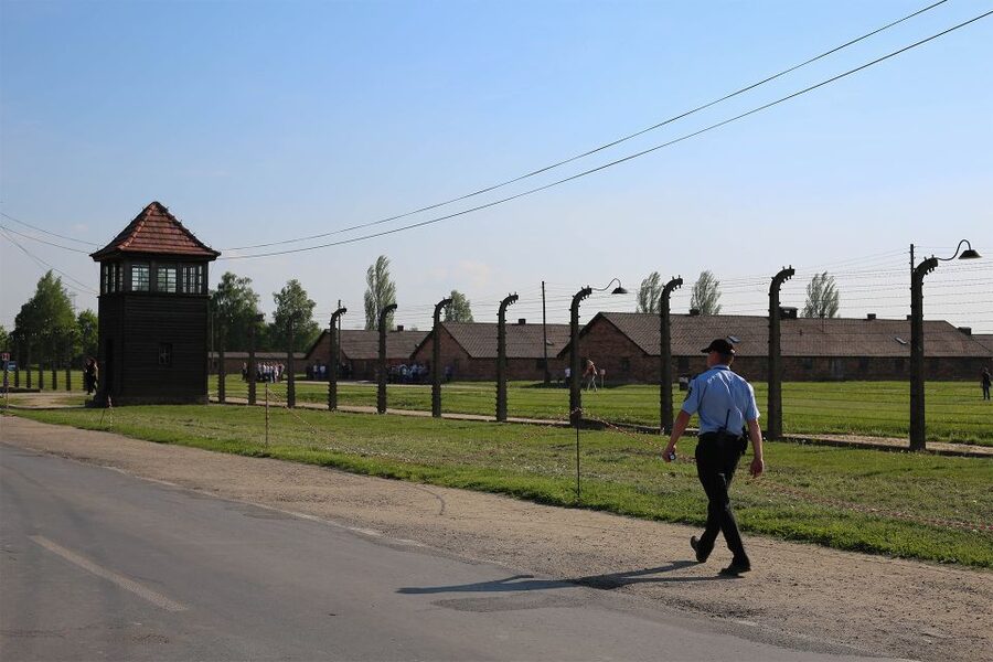 From Krakow: Auschwitz Birkenau Small Group Tour with Pickup - Language, access, and practical limits
