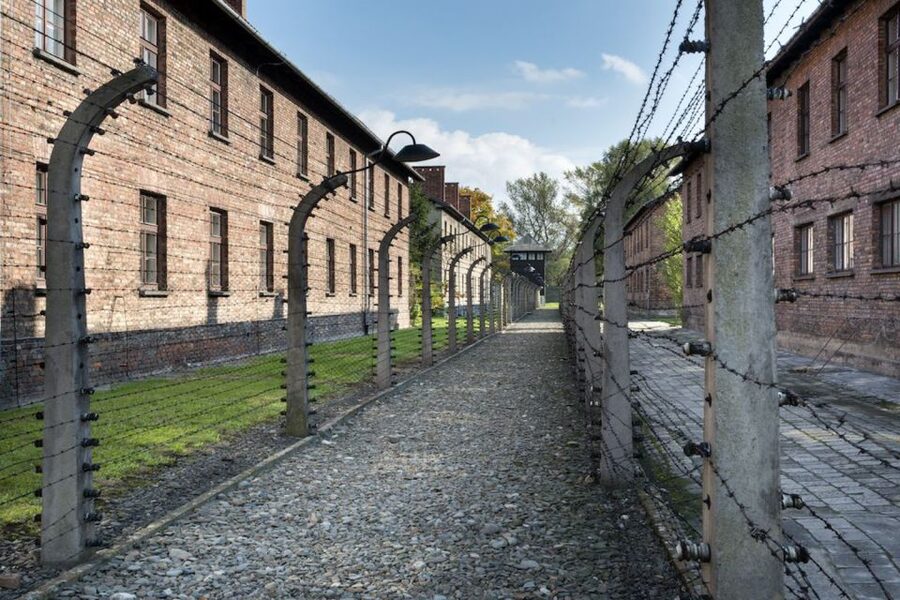 From Krakow: Auschwitz-Birkenau Tour - Key Points Before You Book