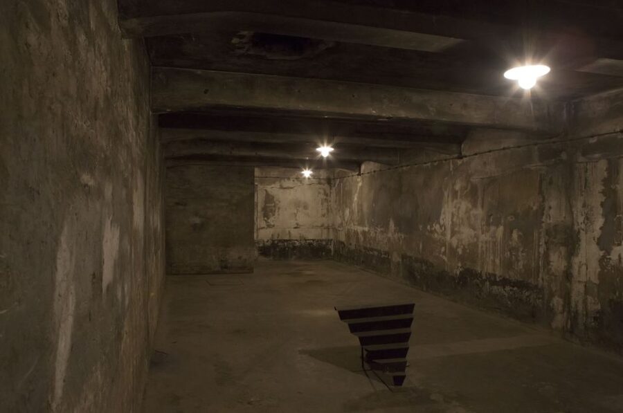 From Krakow: Auschwitz-Birkenau Tour - Why Auschwitz-Birkenau Requires a Different Kind of Tour