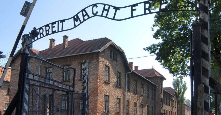 From Krakow: Auschwitz-Birkenau Tour - A Guide Can Shape the Entire Visit
