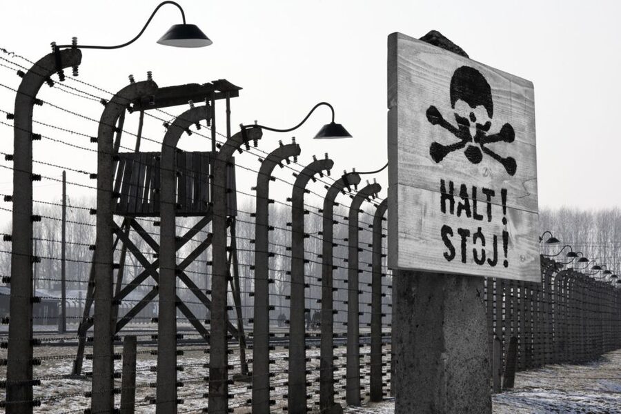 From Krakow: Auschwitz-Birkenau Tour - Should You Book It?