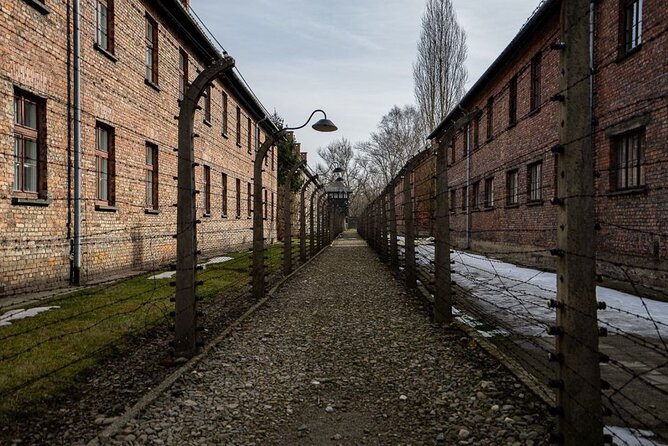 From Kraków: Auschwitz-Birkenau Tour with Lunch Box and Pick Up - Birkenau: scale that is difficult to grasp