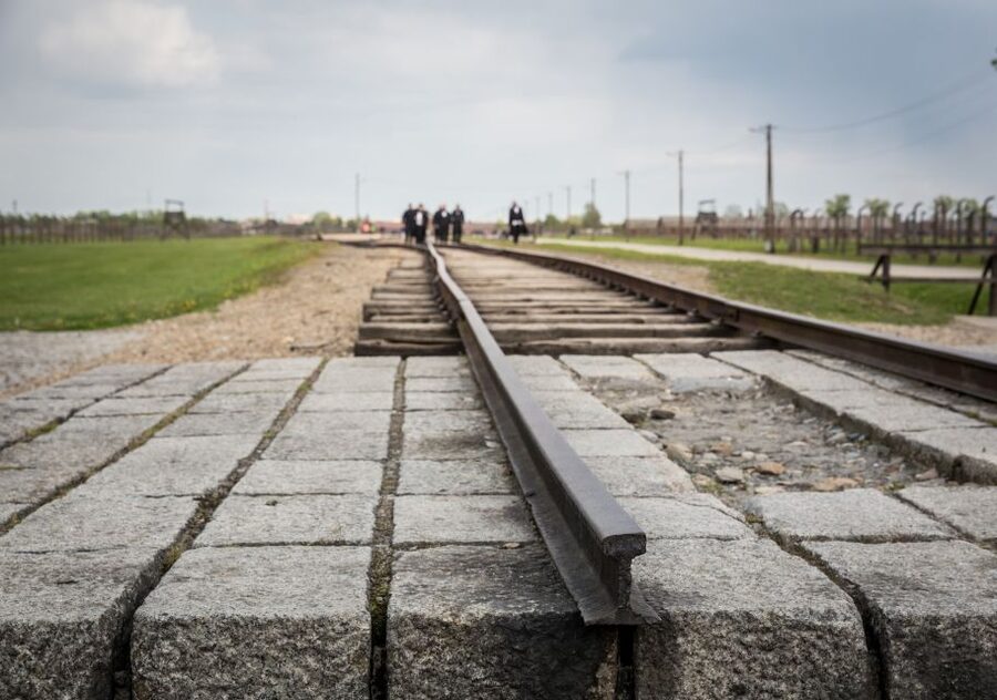 From Krakow: Auschwitz Birkenau Tour with Transfer - Key points to know before booking