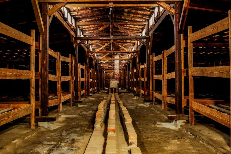 From Krakow: Auschwitz-Birkenau Tour with Transportation - Practical advice before you reserve