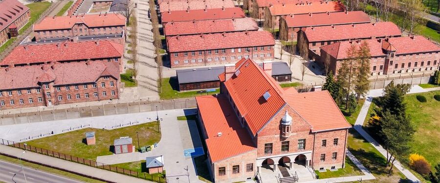 From Krakow: Auschwitz-Birkenau Tour with Transportation - Who should choose the independent option?