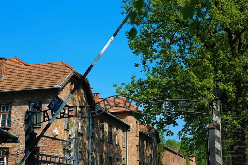 From Krakow: Auschwitz Museum and Wieliczka Salt Mine Tour - Key points at a glance