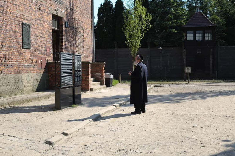 From Krakow: Auschwitz Museum and Wieliczka Salt Mine Tour - Transport, timing, and the real value of convenience