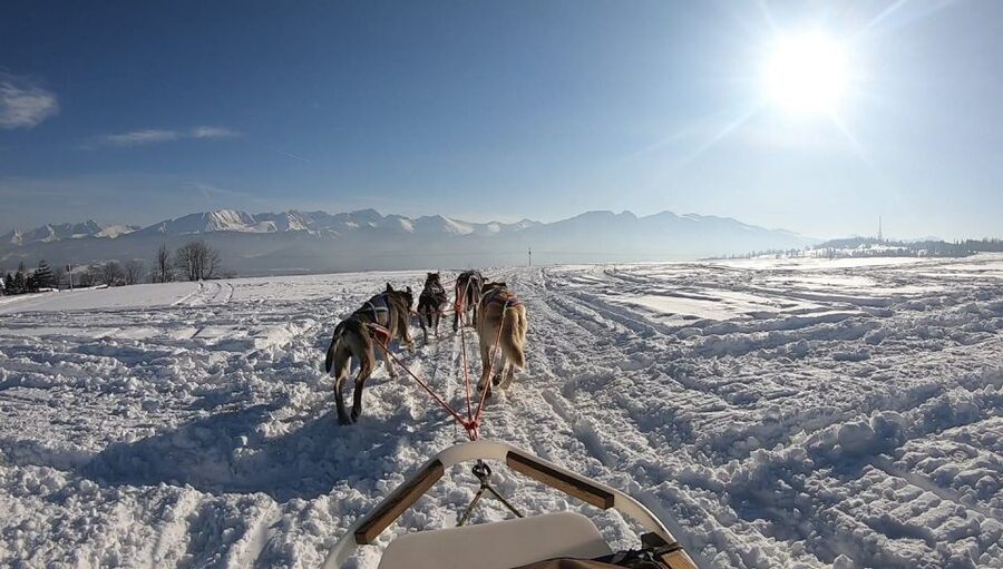 From Krakow: Dogsled Ride in Tatra Mountain - How the timing affects the experience