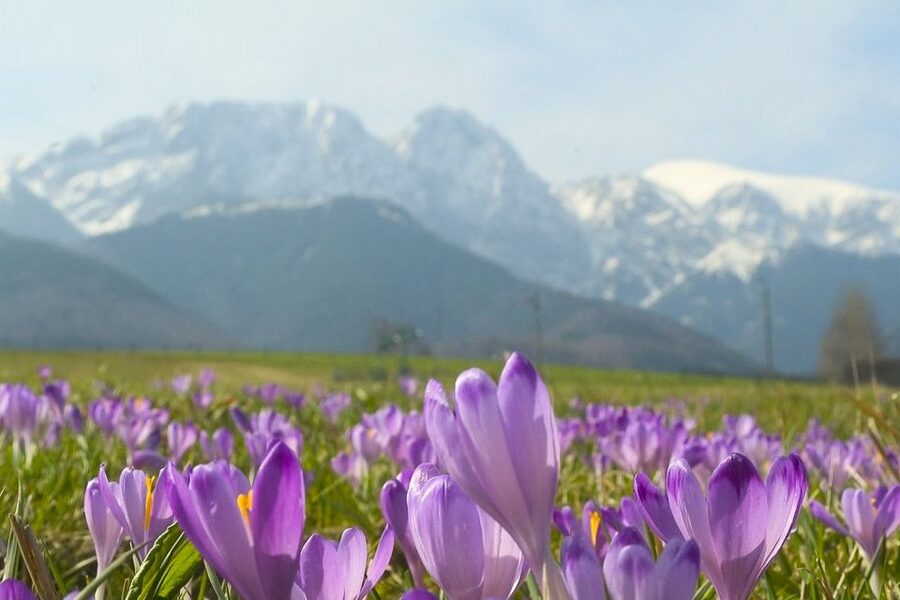 From Krakow: Full-Day Tour of Zakopane and Tatra Mountains - What the $122 Price Covers