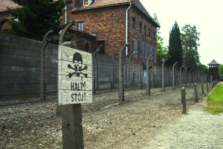 From Krakow: Guided Auschwitz-Birkenau Group Tour by Minivan - Key points before you book