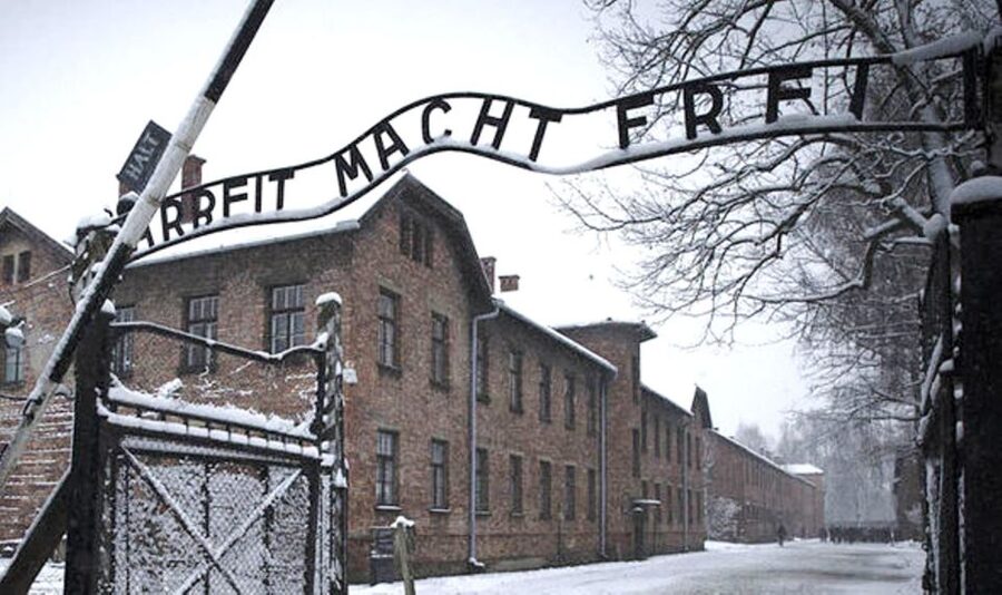 From Krakow: Guided Auschwitz-Birkenau Group Tour by Minivan - Should you book the Auschwitz-Birkenau minivan tour?