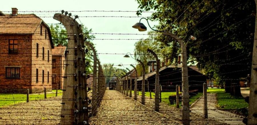From Krakow: Guided Auschwitz-Birkenau Group Tour by Minivan - Why this day trip matters