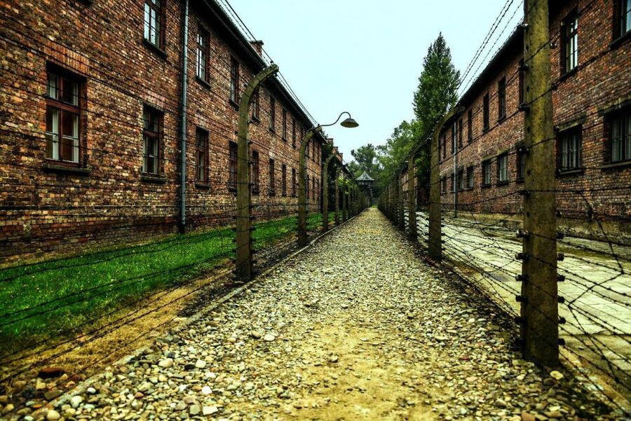 From Krakow: Guided Auschwitz-Birkenau Group Tour by Minivan - The 80-minute minivan journey