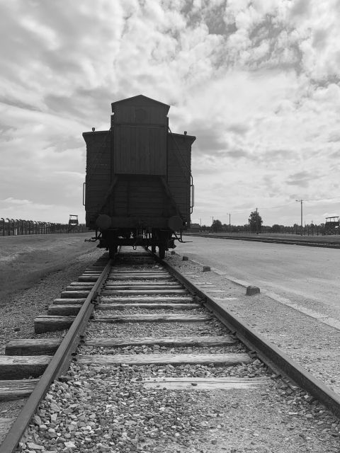 From Krakow: Guided Auschwitz-Birkenau Group Tour by Minivan - Auschwitz II-Birkenau and the wider camp grounds
