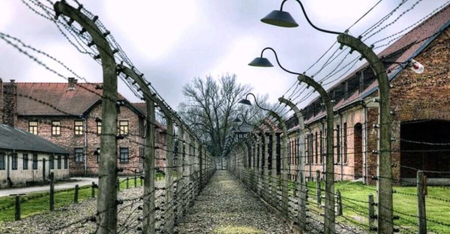 From Krakow: Guided Auschwitz-Birkenau Group Tour by Minivan - A short break, then the road back