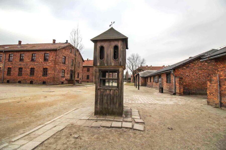 From Krakow: Guided Auschwitz-Birkenau Group Tour by Minivan - What the $68 price really covers