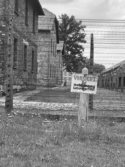 From Krakow: Guided Auschwitz-Birkenau Group Tour by Minivan - Who will get the most from this tour