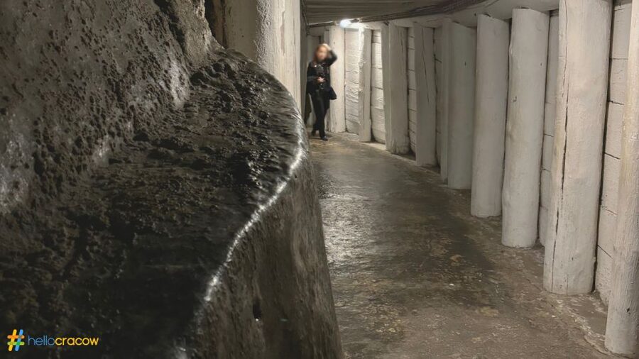 From Krakow: Guided Tour in Wieliczka Salt Mine - Is the $70 price good value?