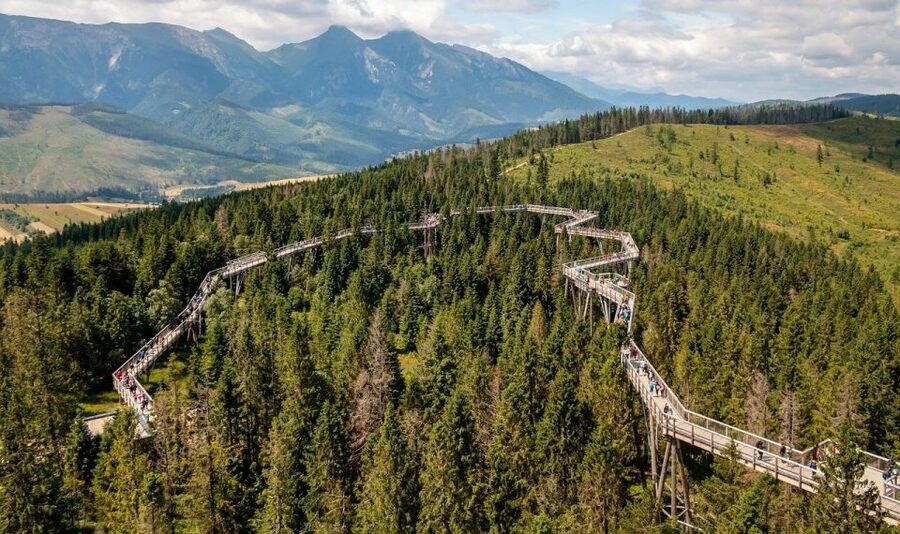 From Krakow: Morskie Oko and Slovakia Treetop Walk - Key points at a glance