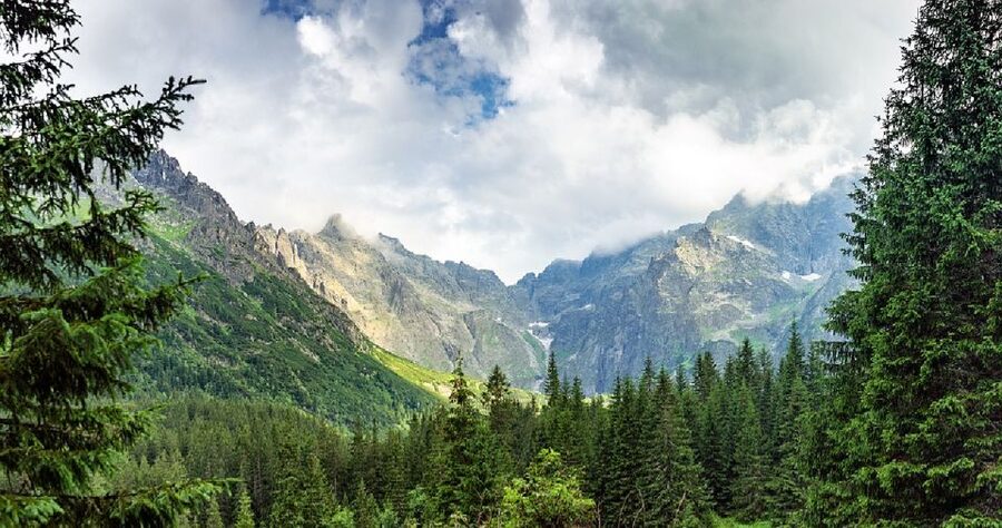 From Krakow: Morskie Oko and Slovakia Treetop Walk - How the two stops fit into one 11-hour schedule