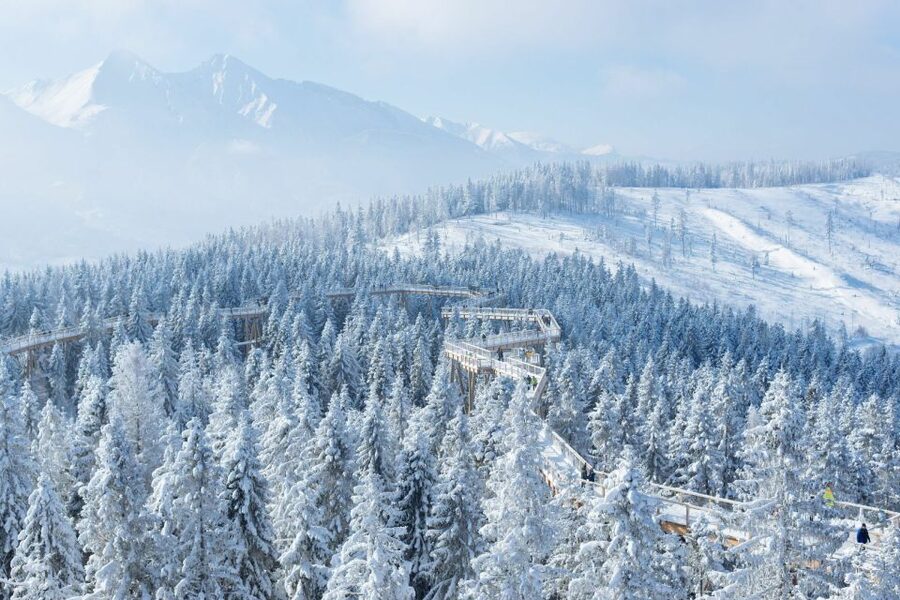 From Krakow: Morskie Oko and Slovakia Treetop Walk - Transport, service, and the price of convenience