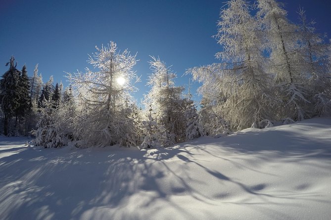 From Krakow: Siepraw Skiing for Beginners - Families, First-Timers, and Independent Skiers
