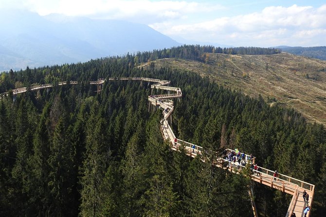 From Kraków: Slovakia Treetop Walk Bachledka and Zakopane - Walking above Bachledova Valley
