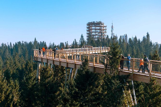 From Kraków: Slovakia Treetop Walk Bachledka and Zakopane - Local tastes and what is actually included
