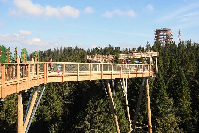From Kraków: Slovakia Treetop Walk Bachledka and Zakopane - The high platform and optional slide