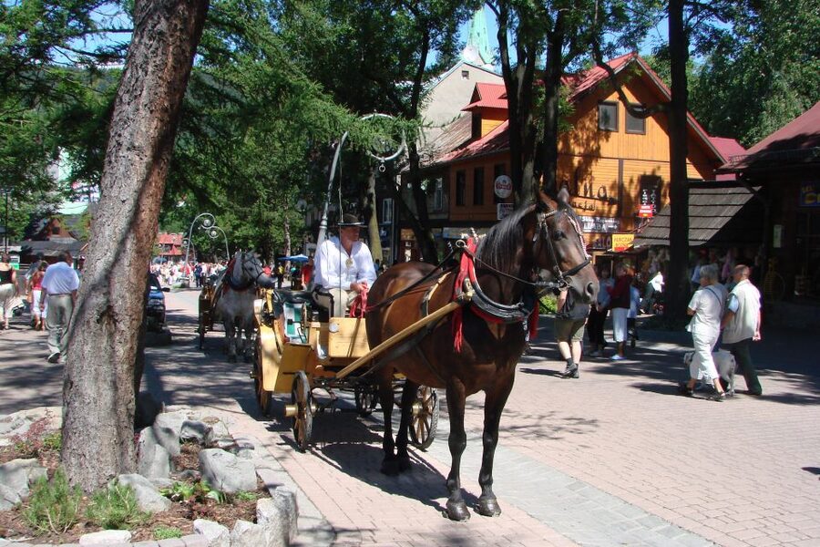 From Krakow: Slovakia Treetop Walk, Zakopane & Thermal Spa - Leaving Krakow for the Tatra foothills