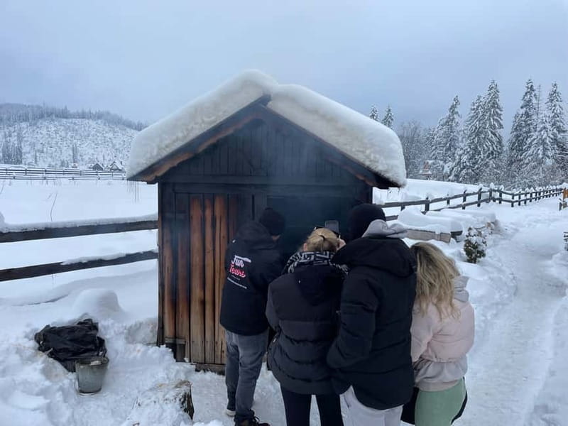 From Krakow: Snowmobile, Zakopane & Chochołowskie Baths - Who Will Enjoy This Experience Most?