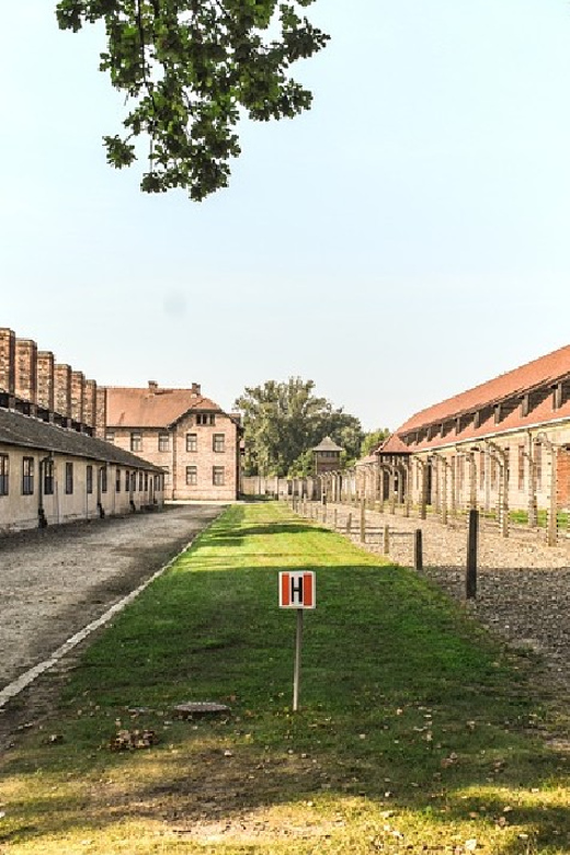 From Krakow: Wieliczka Salt Mine & Auschwitz Guided Trip - Should you book this Auschwitz and Wieliczka tour?
