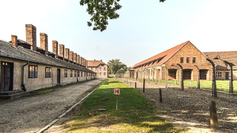 From Krakow: Wieliczka Salt Mine & Auschwitz Guided Trip - One long day from Krakow, with the details handled