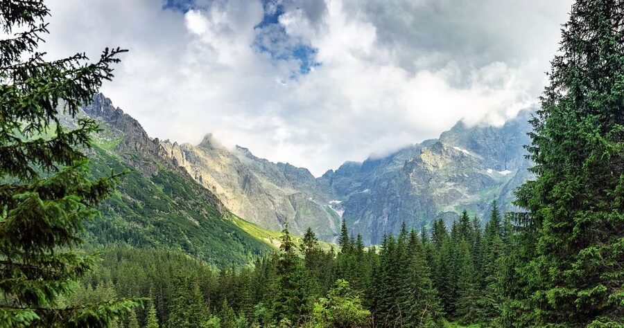 From Krakow: Zakopane and Dunajec River Rafting Tour - Two hours on the Dunajec through the Pieniny Gorge