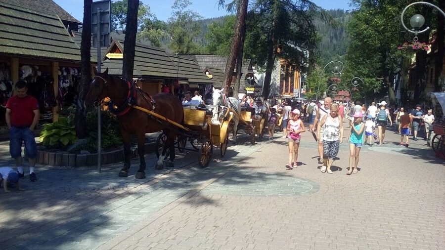 From Krakow: Zakopane & Hot Thermal Springs Private Tour - Who should book this day trip?