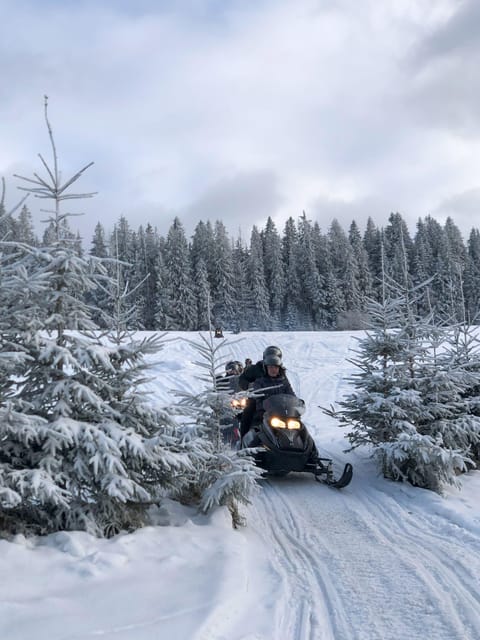 From Krakow: Zakopane Snowmobile NIGHT Ride, Bonfire, - Guides, driving, and the feel of the day