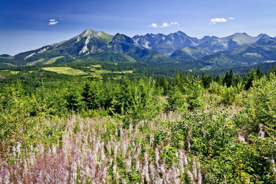 From Krakow: Zakopane Tatra Mountains & Hot Springs Tour - What this Krakow day trip is really offering