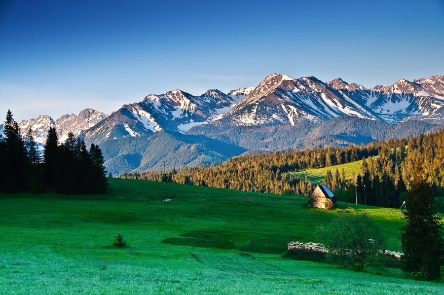 From Krakow: Zakopane Tatra Mountains & Hot Springs Tour - Krupówki Street, Zakopane’s popular center