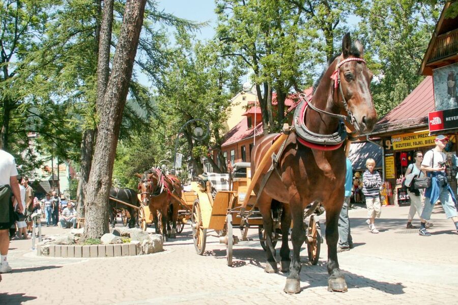 From Krakow: Zakopane & Tatra Mountains Tour - Who will enjoy this Zakopane tour most?