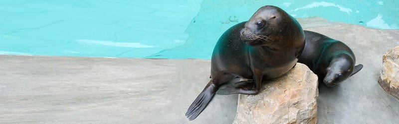 From Krakow: Zoo Trip with Private Luxury Transfer - A closer look at the two-hour zoo stop