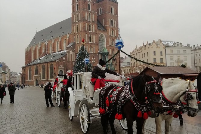 From Warsaw Auschwitz and Krakow one day tour by train with pick up and drop off - Private tour wording and group expectations