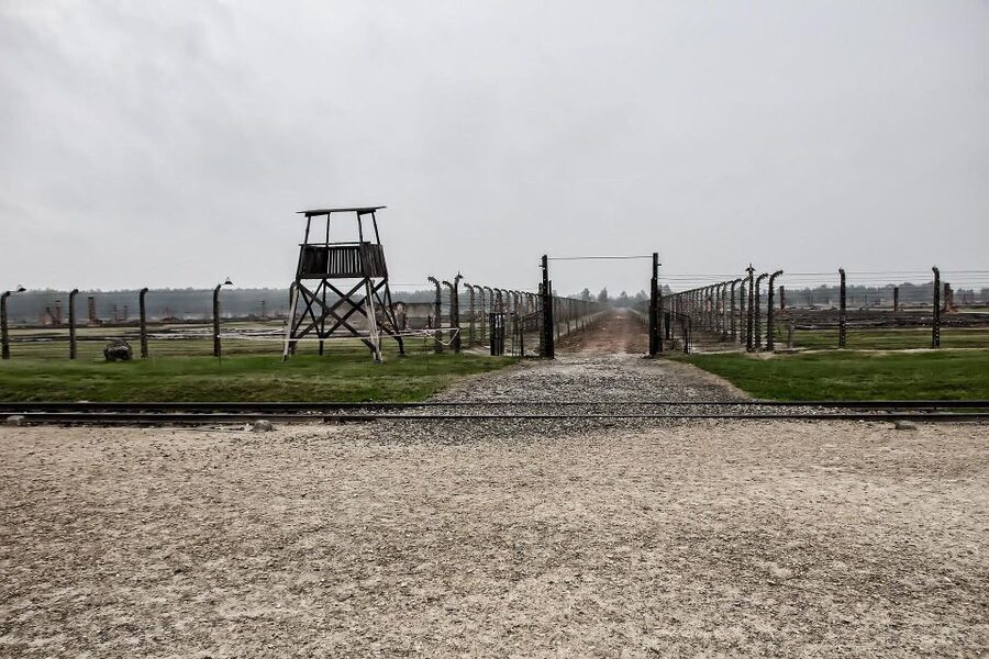 From Warsaw: Auschwitz-Birkenau Guided Tour with Fast Train - Key Details Before You Book