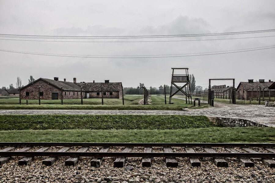 From Warsaw: Auschwitz-Birkenau Guided Tour with Fast Train - Meeting the Driver in Krakow