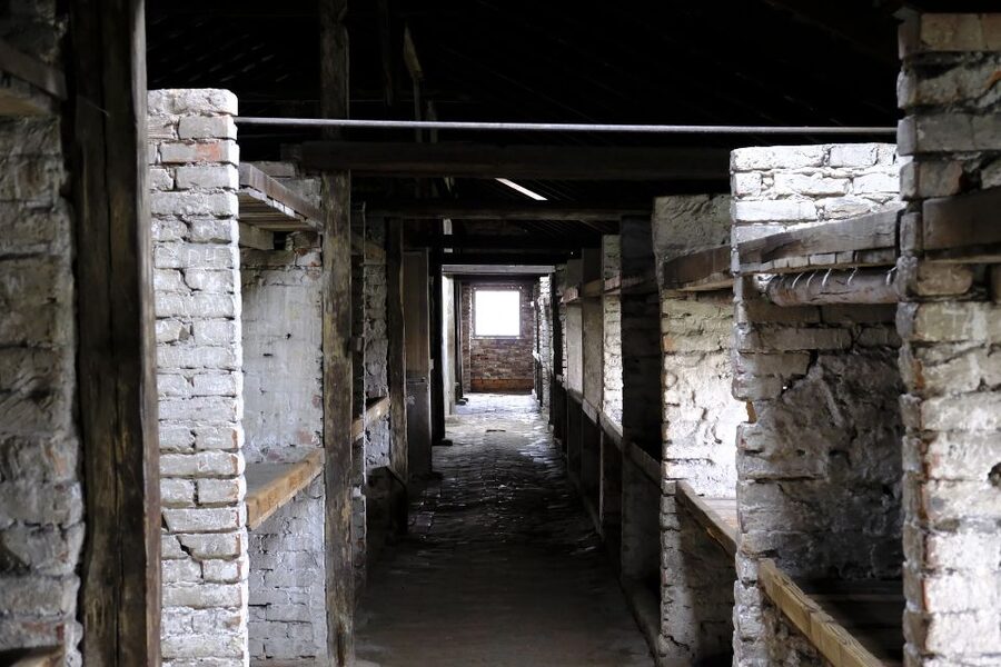 From Warsaw: Auschwitz-Birkenau Guided Tour with Fast Train - Auschwitz II-Birkenau and the Scale of the Camp