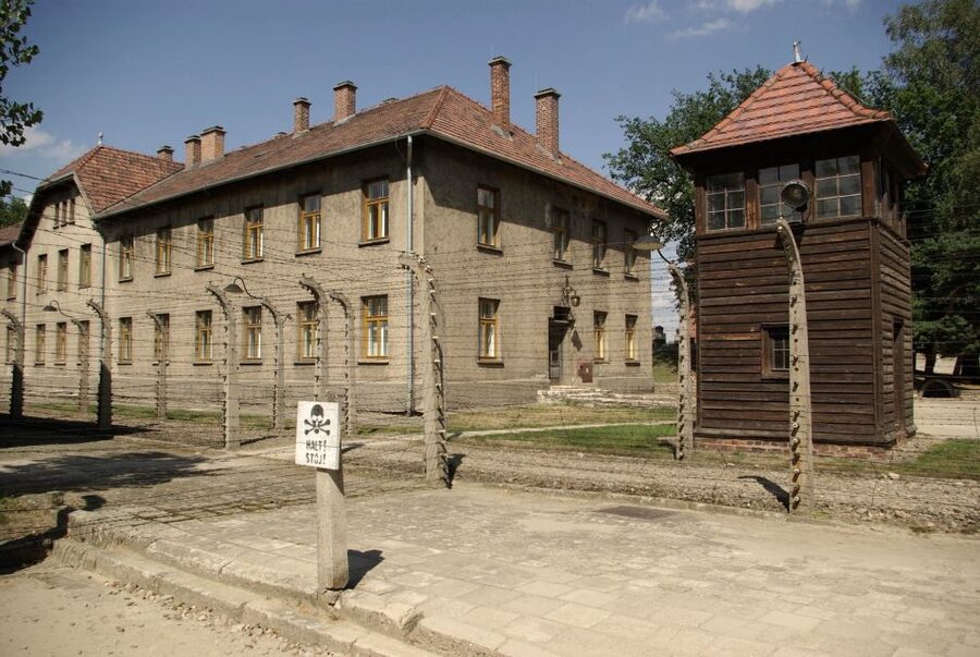 From Warsaw: Auschwitz-Birkenau Small Group Tour with Lunch - Walking through Birkenau and its original sites