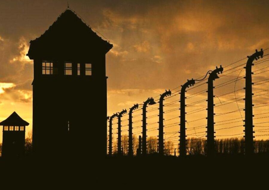 From Warsaw: Auschwitz-Birkenau Small Group Tour with Lunch - A simple lunch at a local restaurant