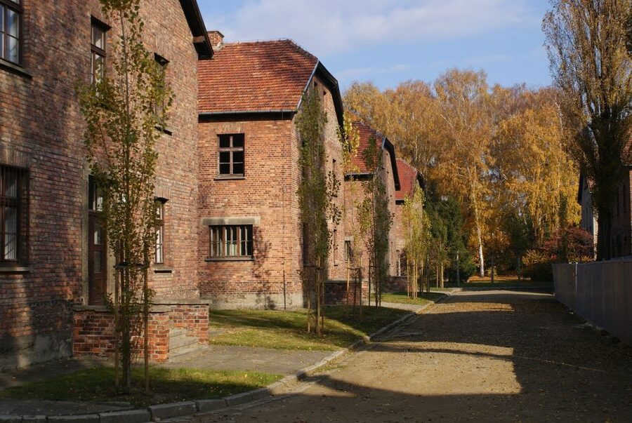 From Warsaw: Auschwitz-Birkenau Small Group Tour with Lunch - Is $350 a fair price?