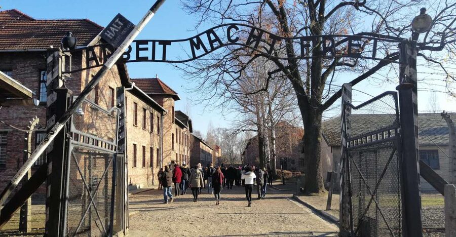 From Warsaw: Auschwitz-Birkenau Tour by Car - Who should choose this Auschwitz day trip?